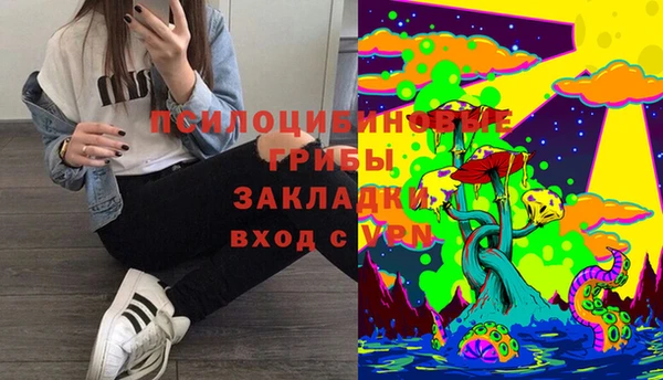 дурь Абаза