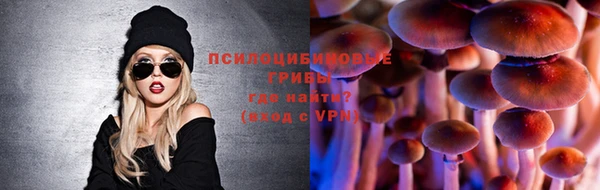 дурь Абаза