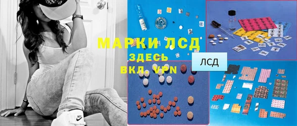 PSILOCYBIN Рославль