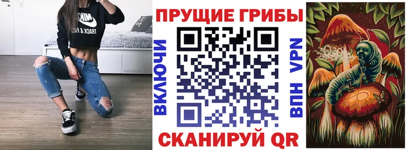 Галлюциногенные грибы ЛСД  МЕГА ССЫЛКА  Ак-Довурак  сколько стоит 